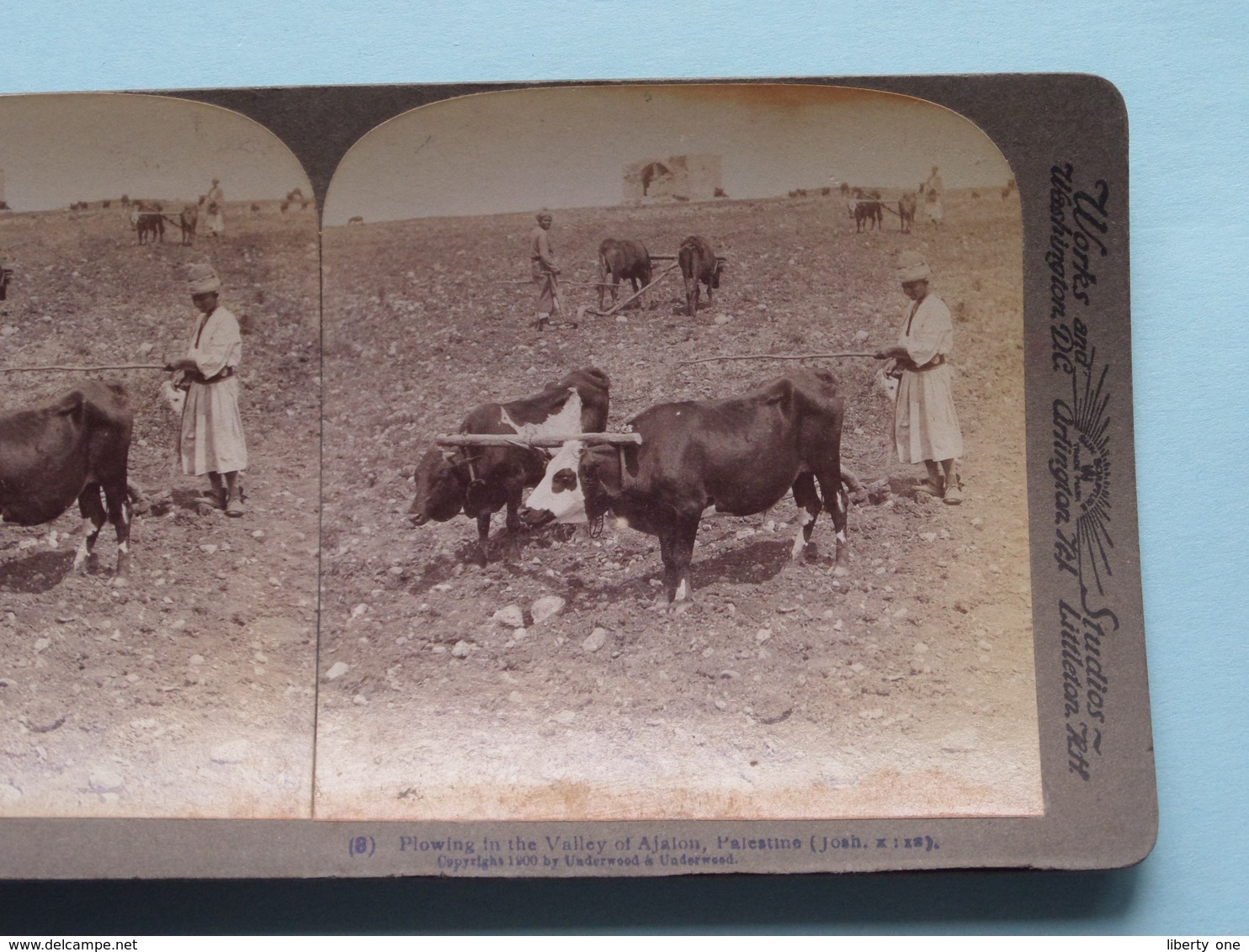 Plowing In The Valley Of Ajalon PALESTINE ( N° 8 ) Stereo Photo : Underwood & Underwood Publi ( Voir Photo ) ! - Stereoscopic