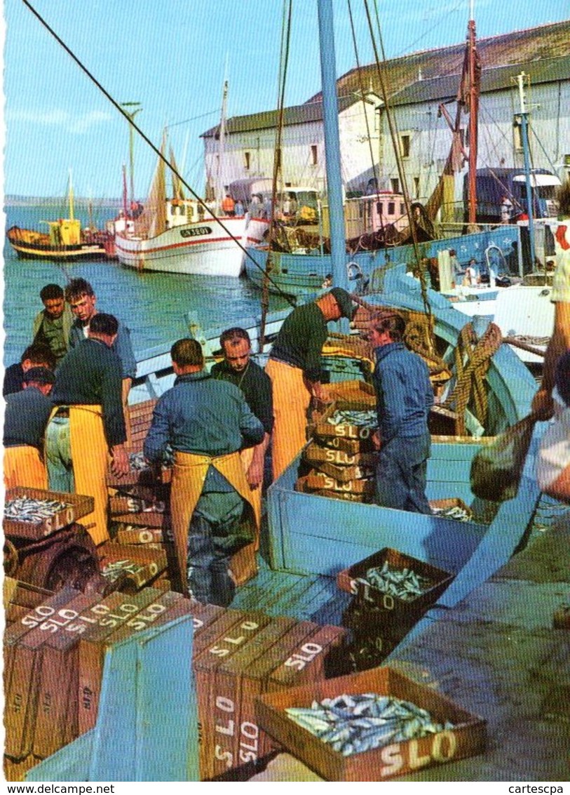 Le Croisic Arrivée Des Sardiniers Dans Le Port 1965 CPM Ou CPSM - Le Croisic