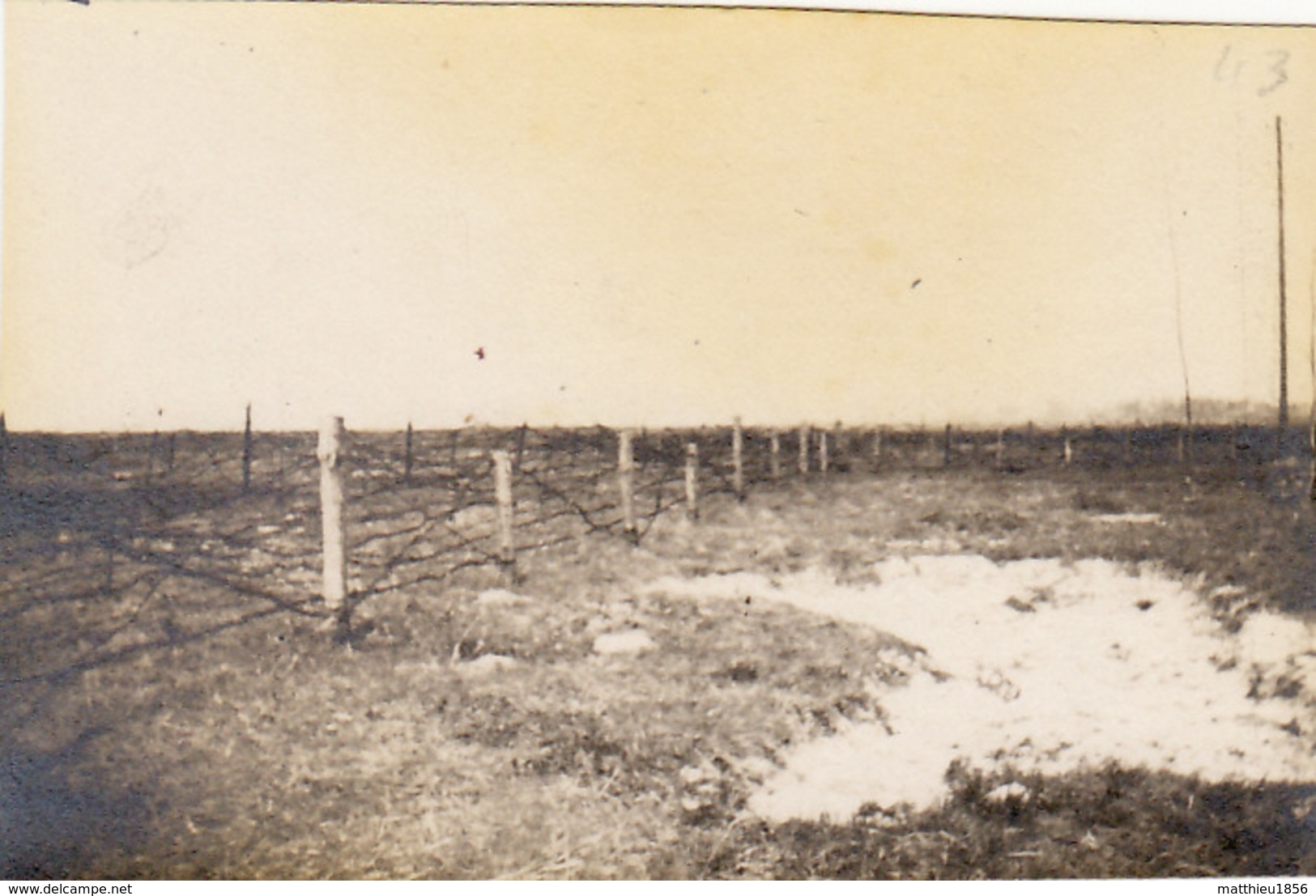 Photo Avril 1916 OPPY (près Vimy, Artois) - Réseau De Fil Barbelé (A181, Ww1, Wk 1) - Other & Unclassified