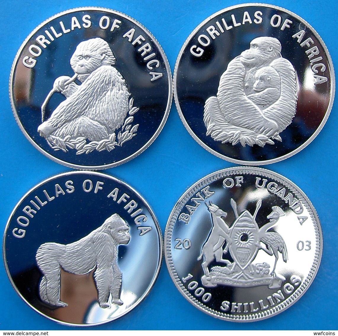 UGANDA 3x1000 SHILLINGS 2003 ENDANGERED WILDLIFE GORILLAS OF AFRICA ANIMAL NATURE PESO 3x24g - Ouganda