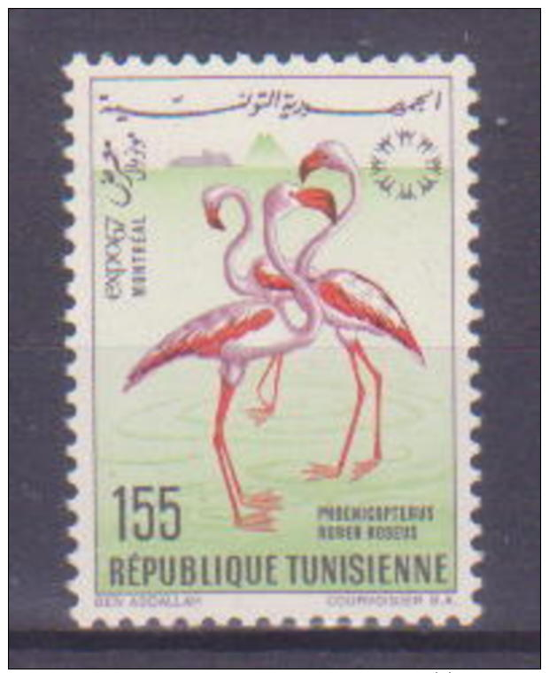 66-714 / TUNESIA - 1967  BIRD  Mi 674 O - Tunesien (1956-...)