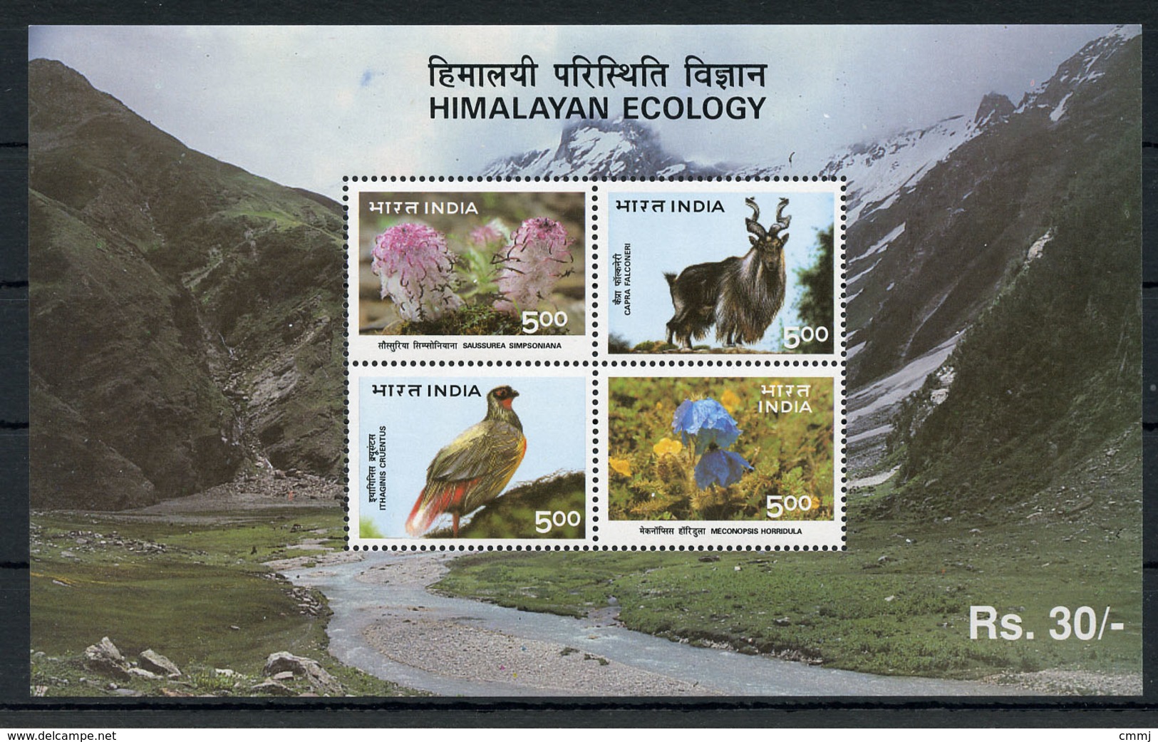 1996 - INDIA -  Catg.. Mi. BL 7 -  NH - (UP554641.85.24) - Nuovi