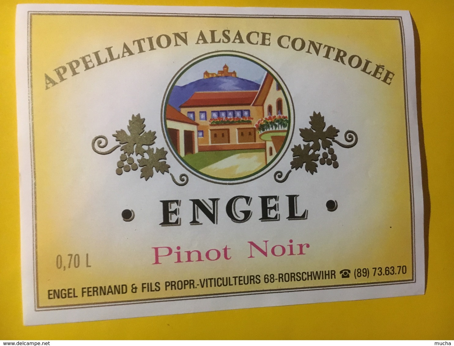 8010 -  Pinot Noir D'Alsace Engel - Autres & Non Classés