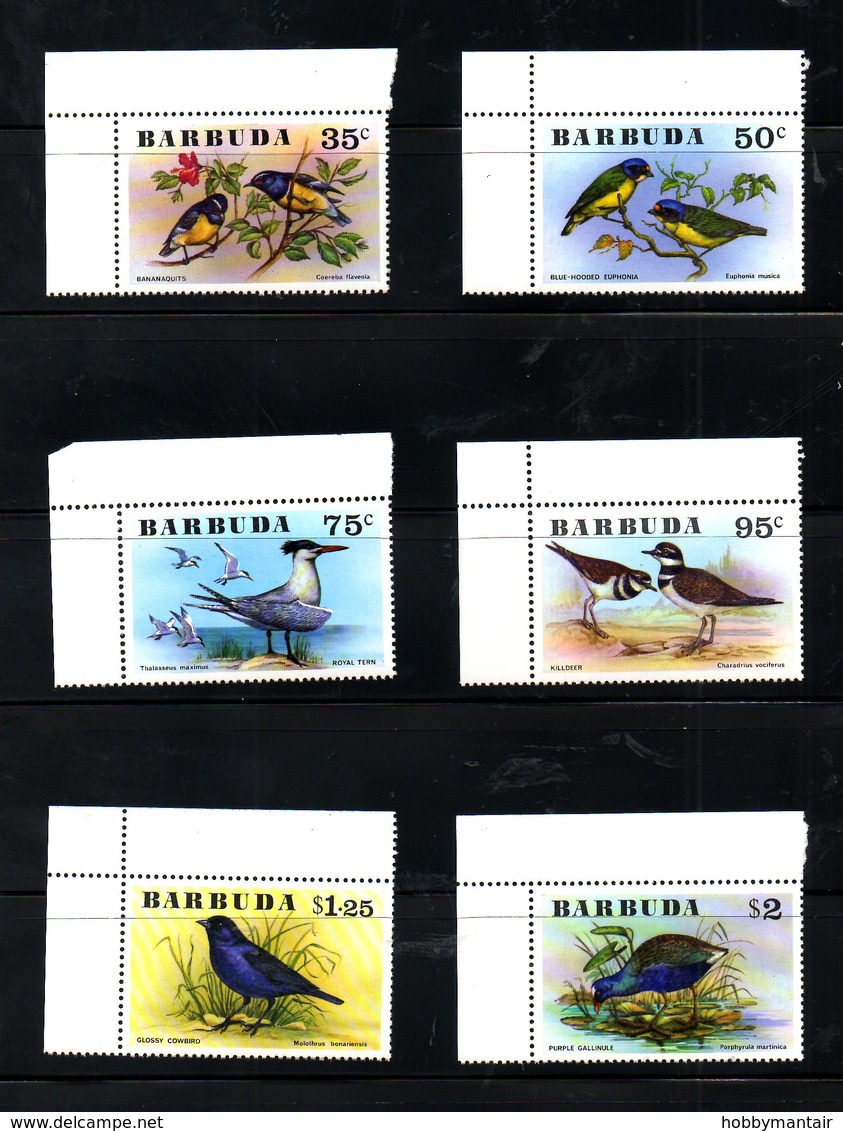 BARBUDA, 1976, BIRDS,  6v. MNH** - Other & Unclassified