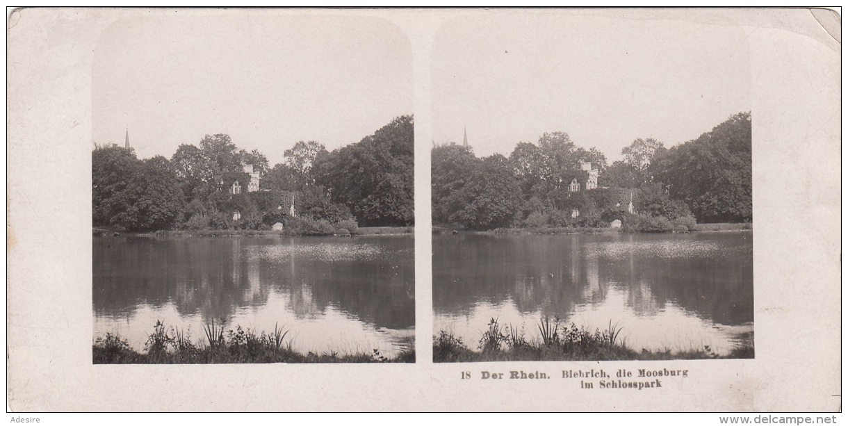 Stereofoto DER RHEIN - Biehrich Die Moosburg Im Schlosspark, Photogr. Steglitz Berlin 1904, Fotoformat Ca.18 X 8,8 Cm - Stereoscopic