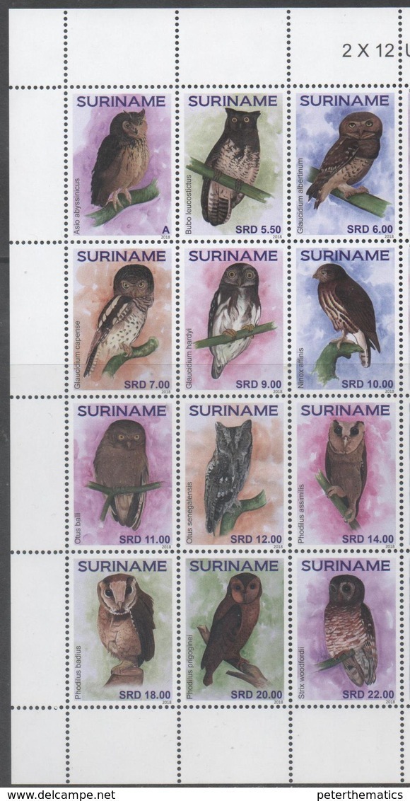 SURINAME, 2018, MNH, BIRDS, OWLS,  12v - Owls