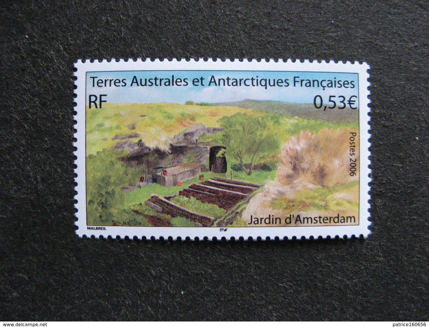 TAAF: TB N° 438, Neuf XX. - Unused Stamps