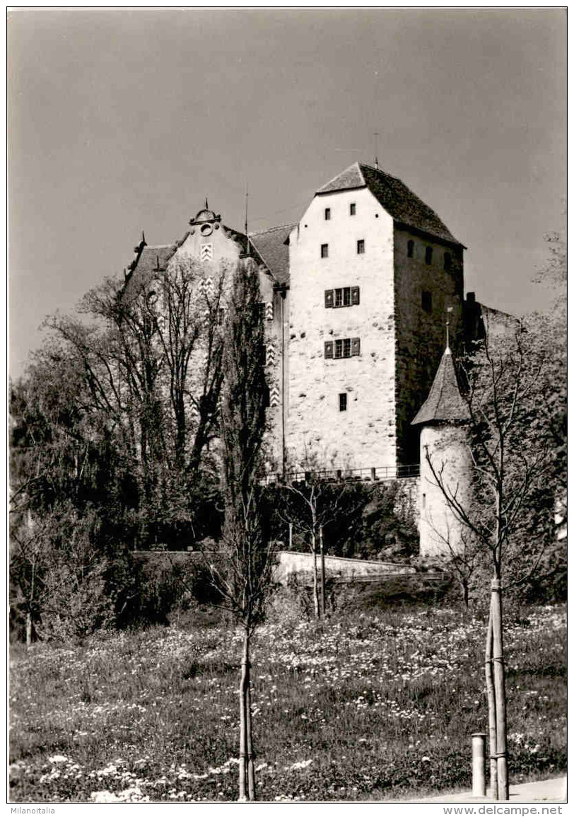 Schloss Wildegg AG - Bergfried Und Palas (38) - Wildegg