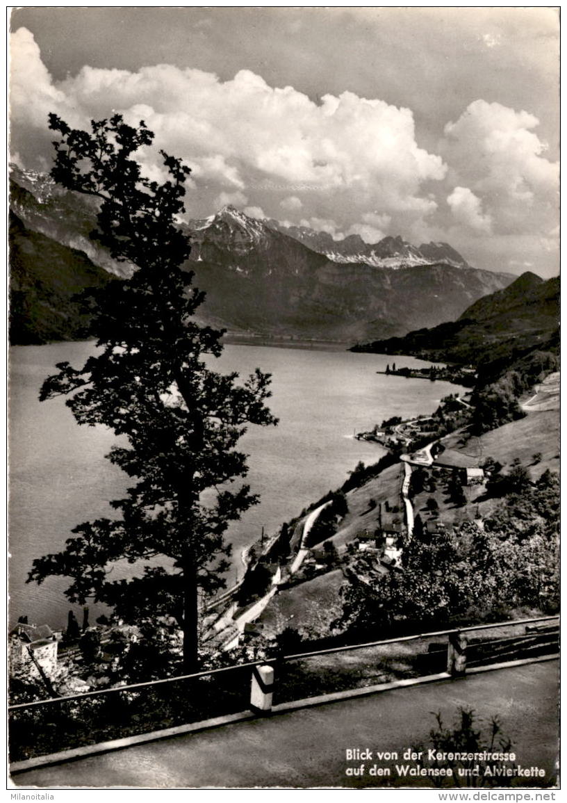 Blick  Von Der Kerenzerbergstrasse Auf Den Walensee Und Alvierkette (03046) * 21. 7. 1958 - Sonstige & Ohne Zuordnung