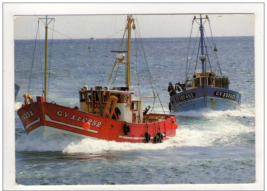 CP 10*15-T1241-PAYS BIGOUDEN BATEAUX DE PECHE DU GUILVINEC 1992 - Guilvinec