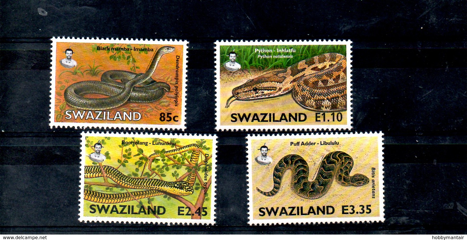 SWAZILAND, 2005, SNAKES, 4v. MNH** - Snakes