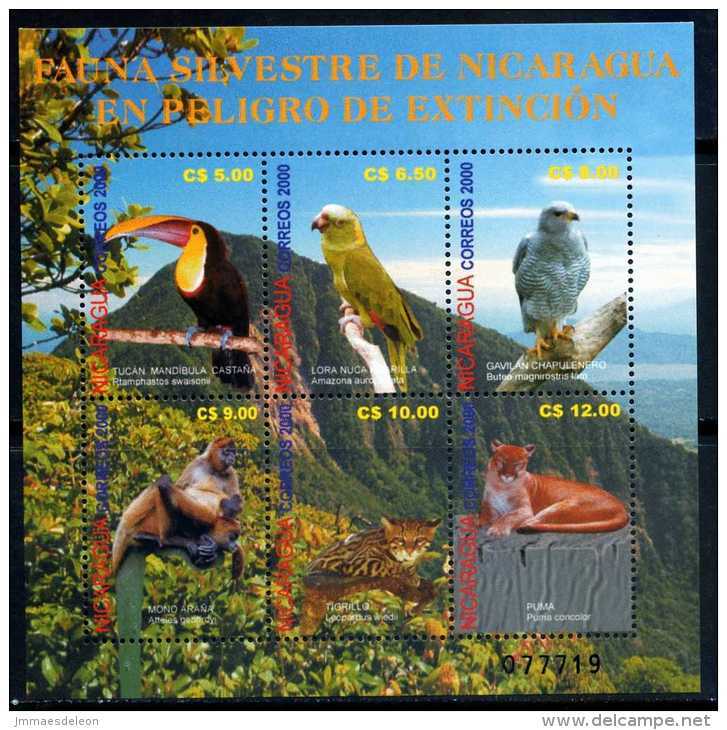 Nicaragua 2001 -  Endangered Wildlife Front Of Mombacho Volcano - Animals Birds - Nicaragua