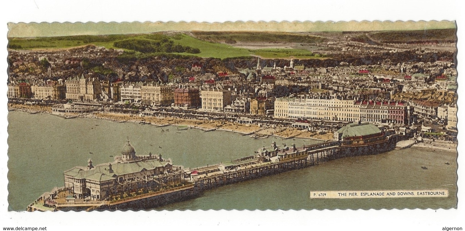 19600 - The Pier Esplanade And Downs Eastbourne (Format 24 X 8.5) - Eastbourne