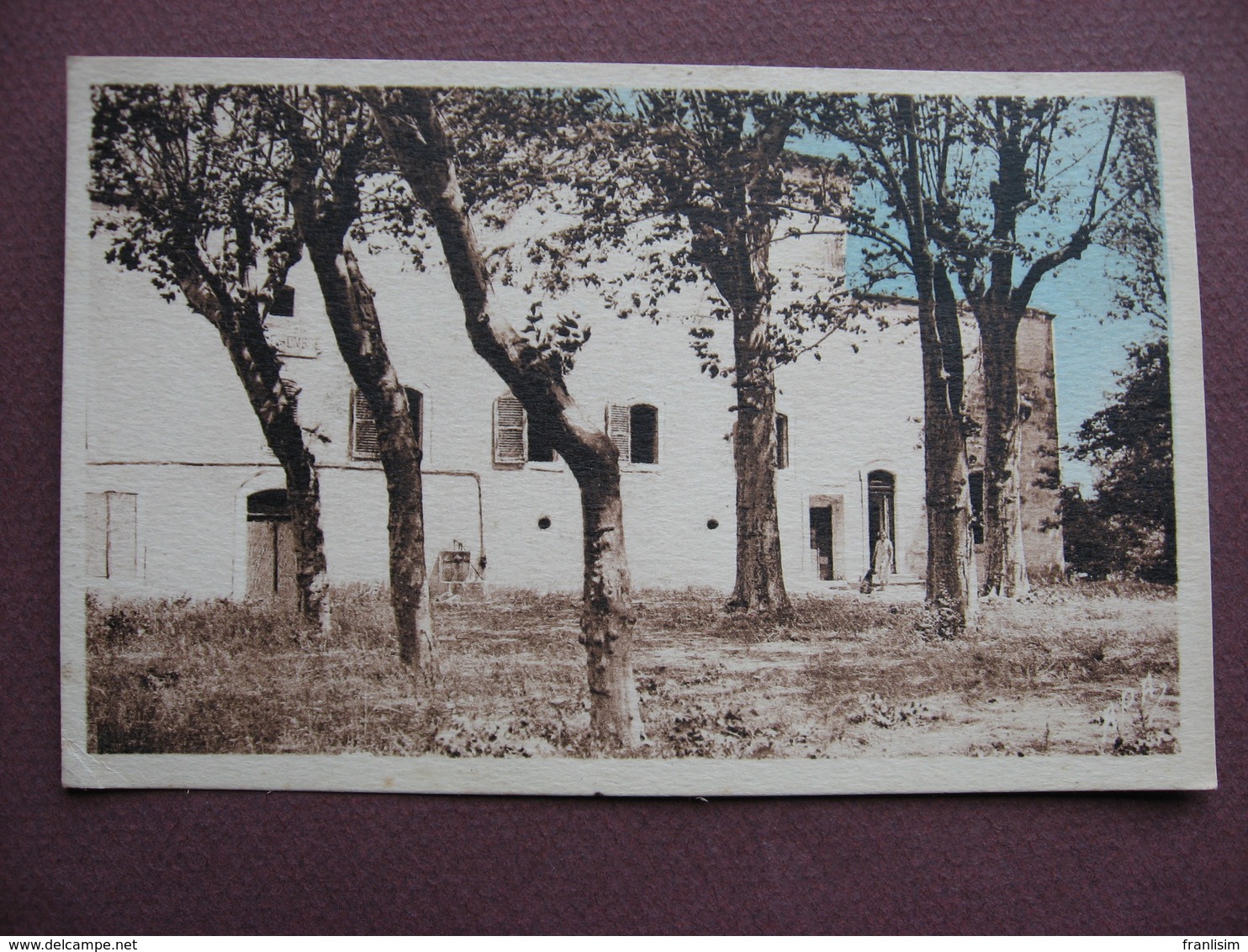 CPA 84 LAPALUD Domaine De Belle Ombre SEPIA Fond Bleuté 1950 - Lapalud