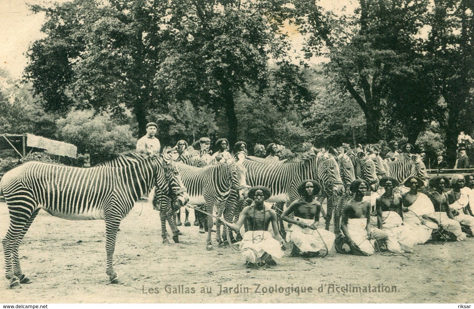 JARDIN D ACCLIMATATION DE PARIS(AFRIQUE) - Expositions