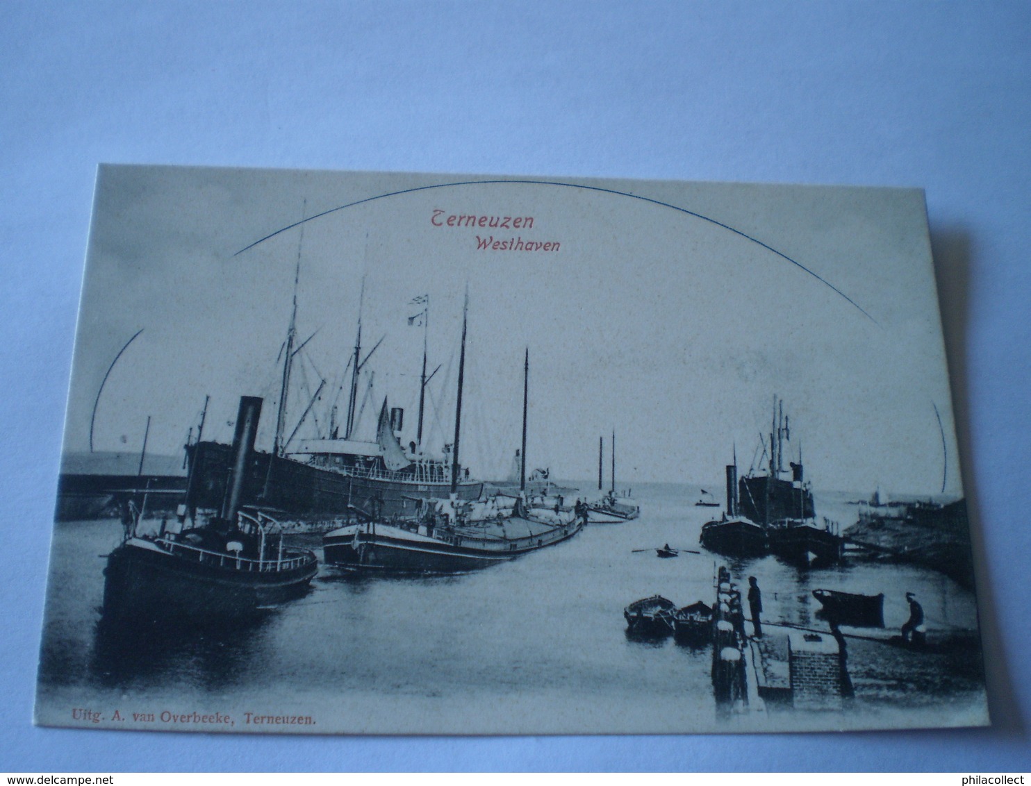 Terneuzen (Zld.) Westhaven (Schip - Scheepvaart) Ca 1900 - Terneuzen