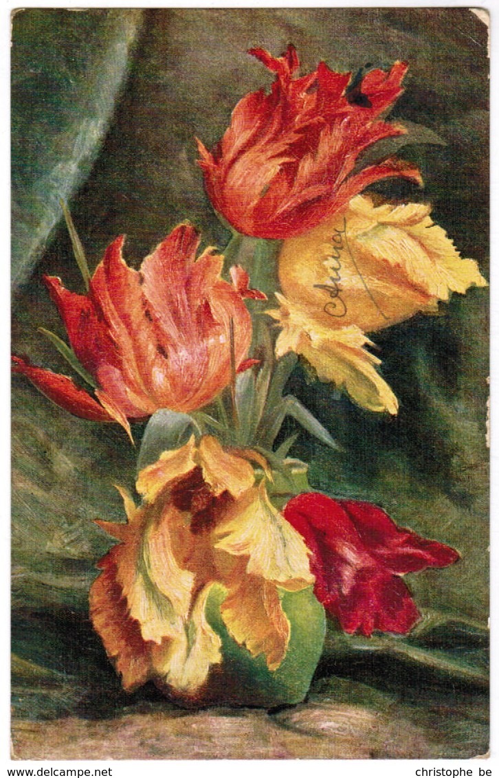 Vase With Tulips, Tulpes, Tulpen, W De Haan, Utrecht  (pk44108) - Fleurs