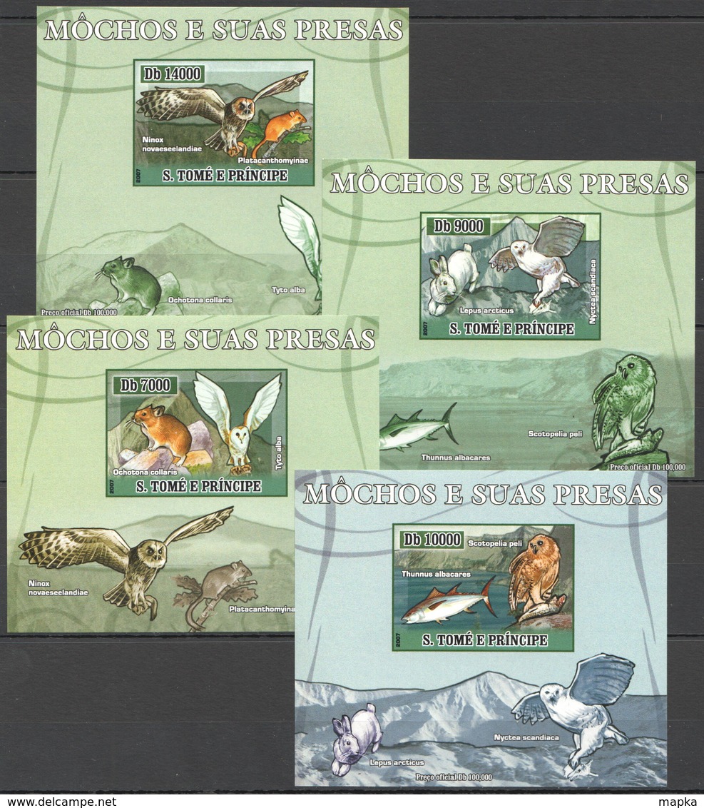 Z1570 !!! IMPERFORATE 2007 S.TOME E PRINCIPE FAUNA ANIMALS & BIRDS OWLS 4 LUX BL MNH - Eulenvögel