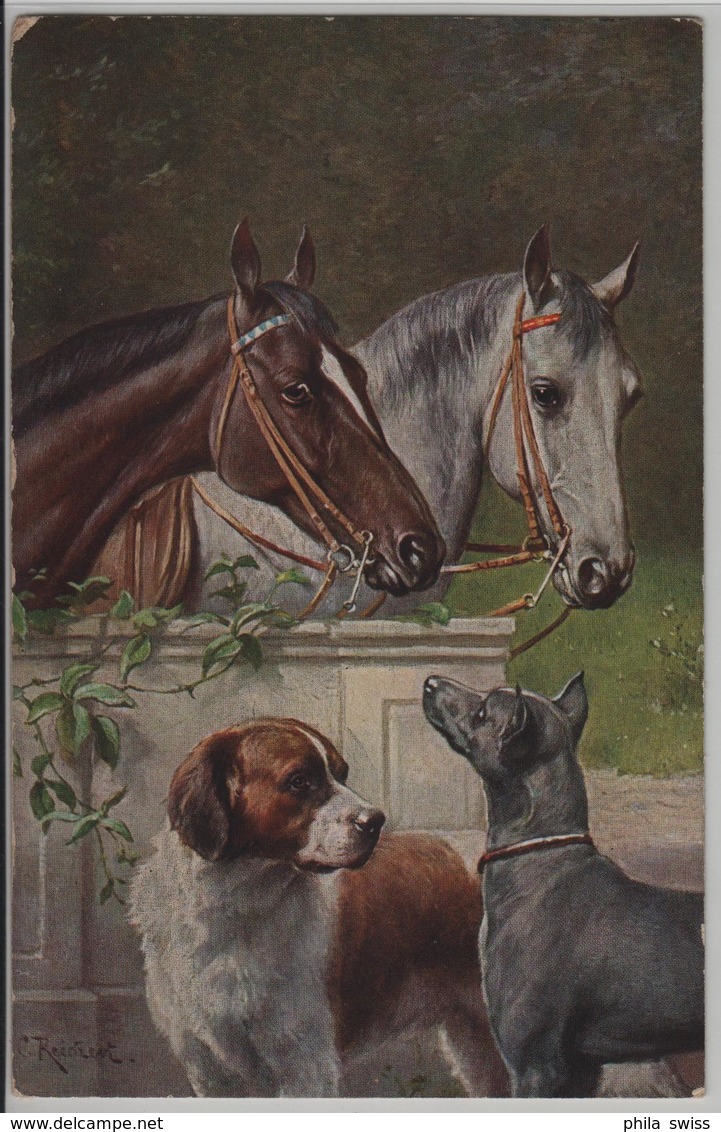 Pferde Horses Chevaux Mit Hunde - Artist C. Reichert Serie 1232 - Chevaux