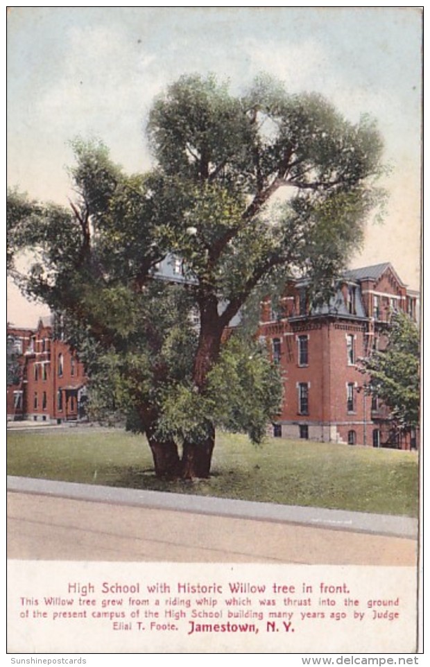 New York Jamestown High School With Historic Willow Tree - Other & Unclassified