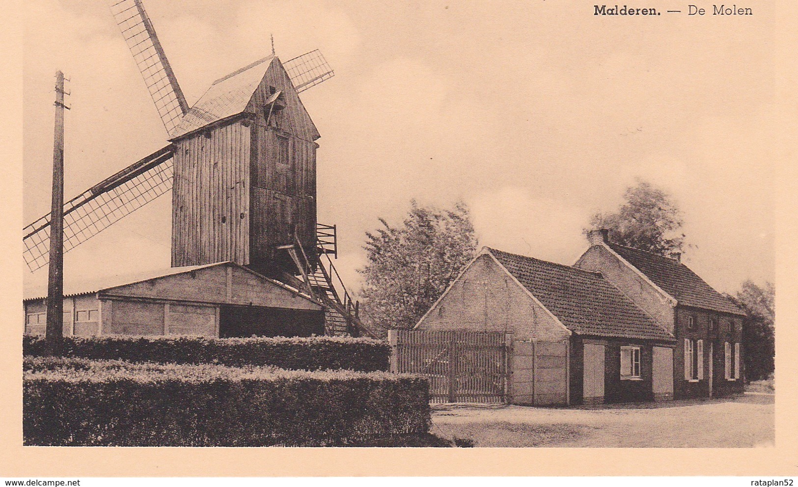 Malderen - De Molen - Uitgever Cleirbout, Jozef. - Londerzeel