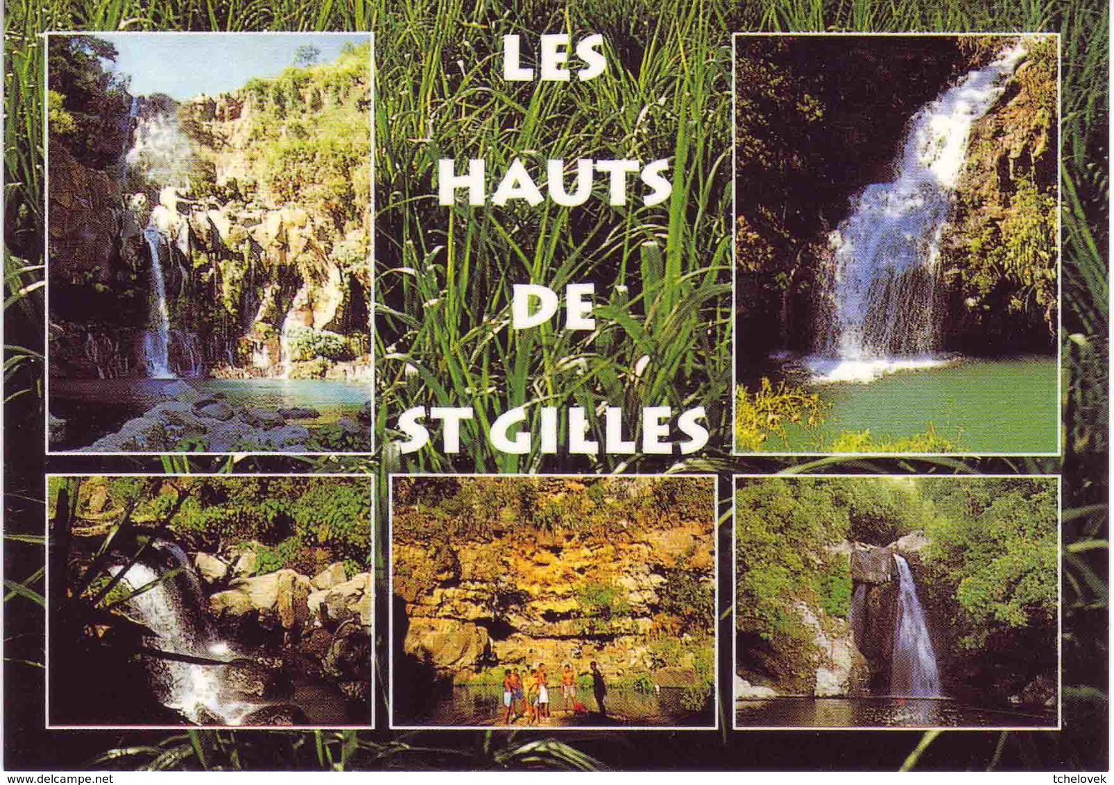 Ile De La Reunion. Ed Agedis N° AGE 037 Les Hauts De St Gilles Canne à Sucre - Autres & Non Classés