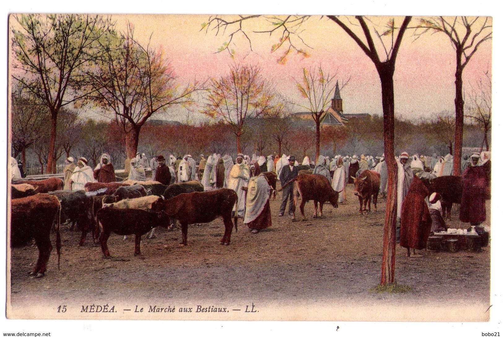 0785 - Algérie - Médea - Le Marché Aux Bestiaux - L.L. - N°15 - - Medea
