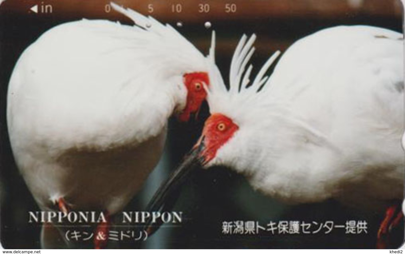 Télécarte Japon / 110-016 -  Animal - OISEAU - IBIS - BIRD Japan Phonecard - Vogel Telefonkarte - 4278 - Other & Unclassified