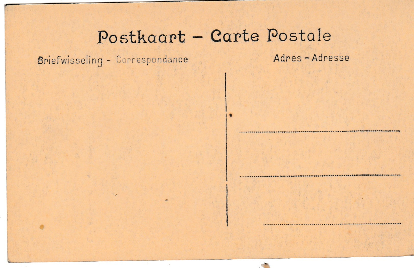 Heide-Calmpthout , In De Bosschen , Dans Les Bois ,(F.Hoelen ,Cappellen ,n° 9049 ) - Kalmthout