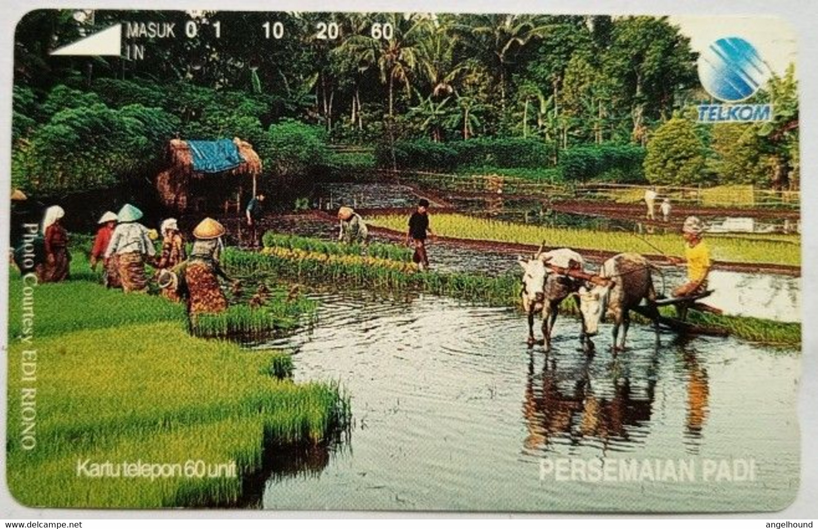 Indonesia 60 Units " Persemaian Padi " - Indonesië