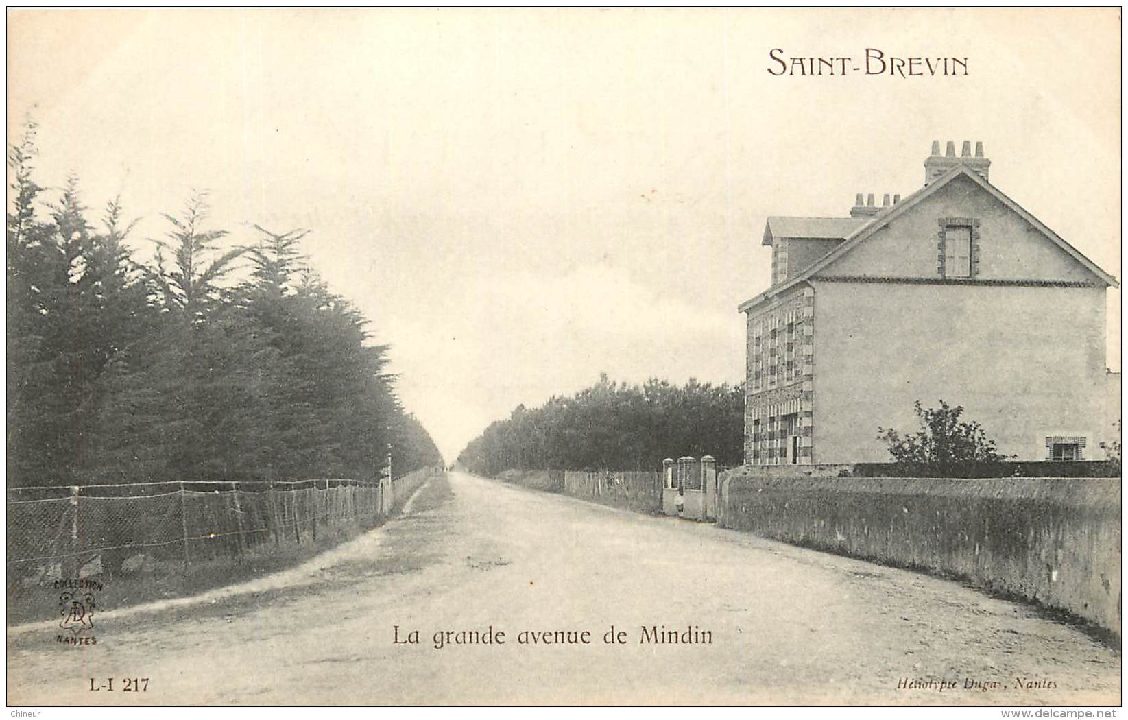 SAINT BREVIN  LA GRANDE AVENUE DE MINDIN - Saint-Brevin-les-Pins