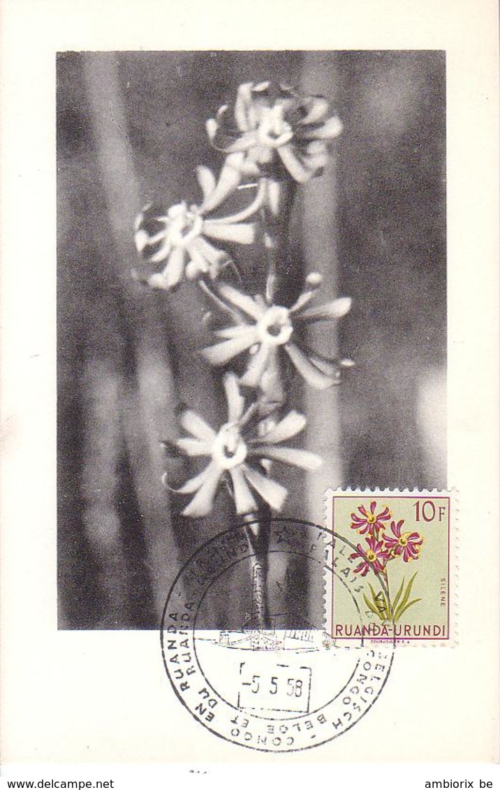 Rwanda Urundi - CMax Timbre N° 194 - Storia Postale