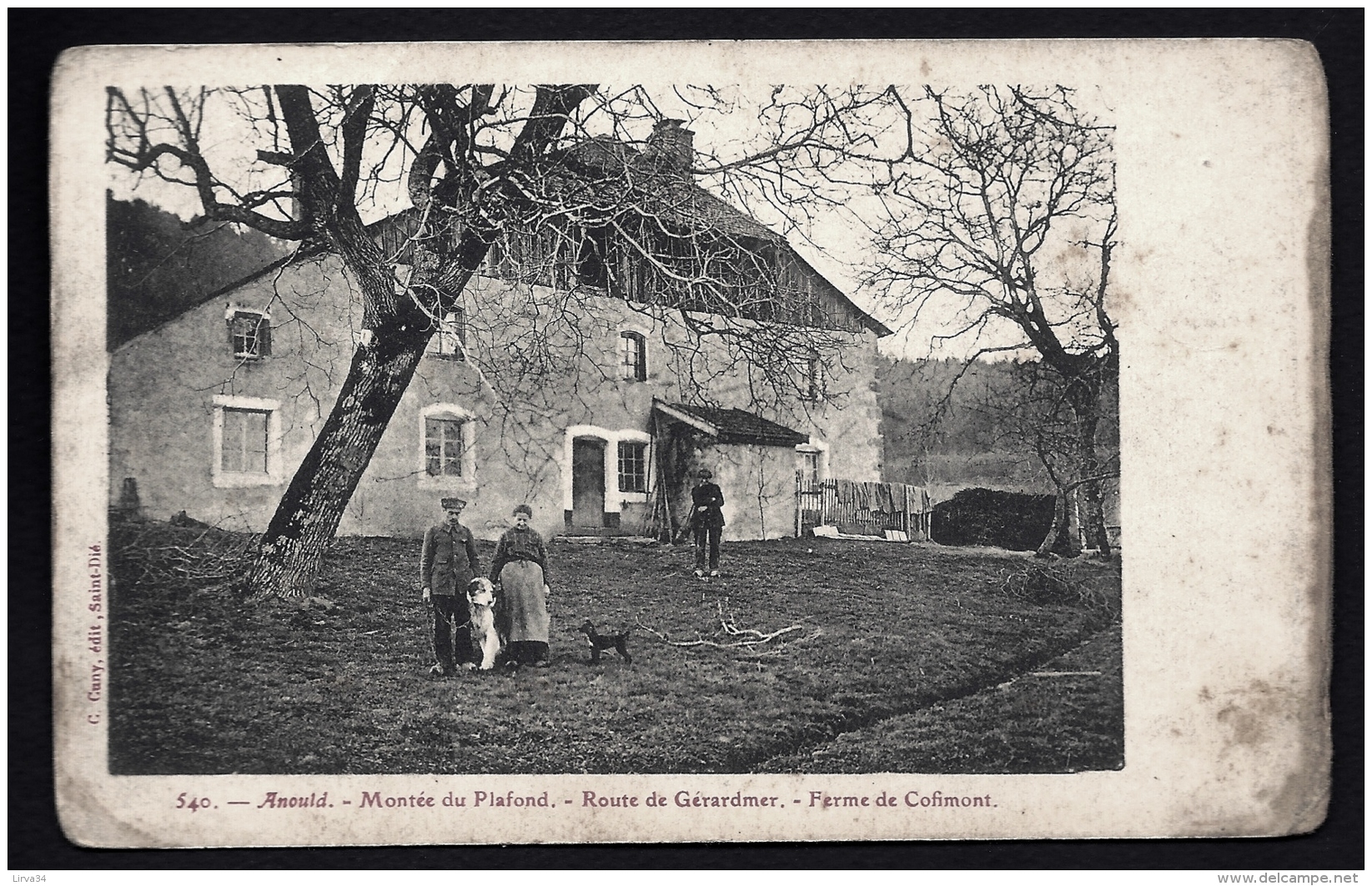 CPA ANCIENNE FRANCE- ANOULD (88)- MONTÉE DU PLAFOND- FERME DE COFIMONT EN HIVER- TRES GROS PLAN ANIMÉ - Autres & Non Classés