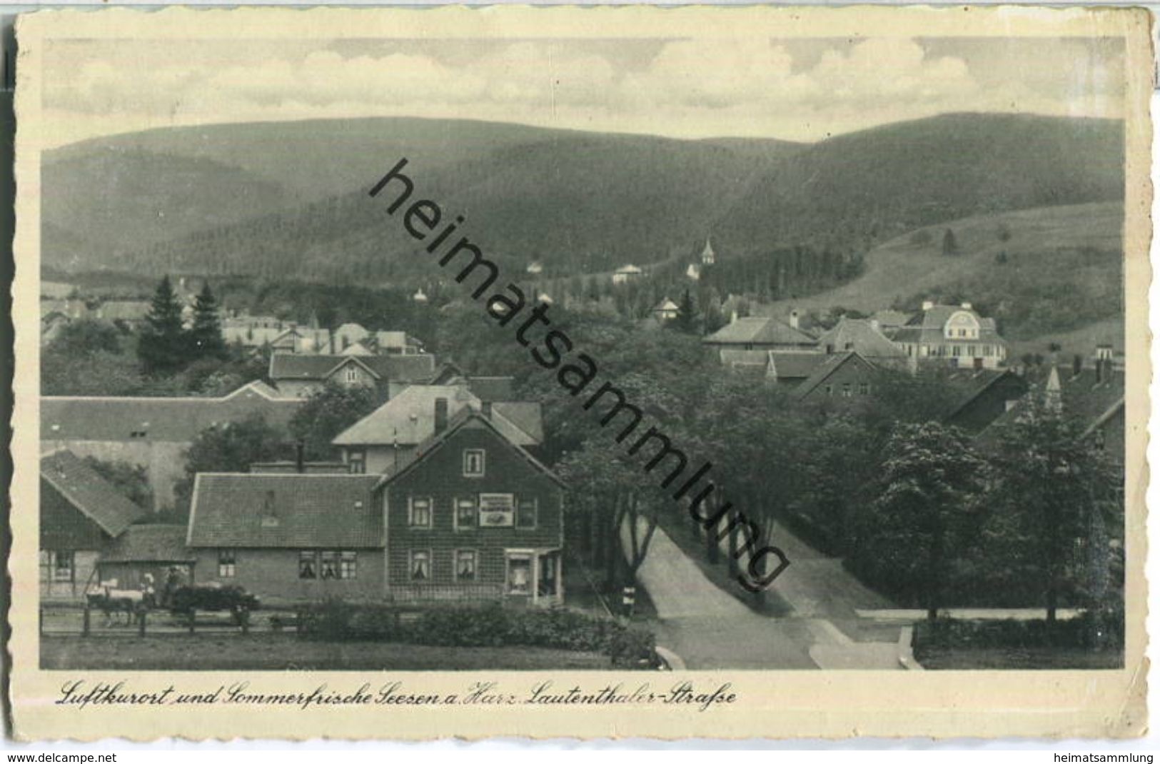 Seesen Am Harz - Lautenthaler-Strasse - Verlag Ed. Reinecke Inh. Wilhelm Lippold Seesen - Seesen