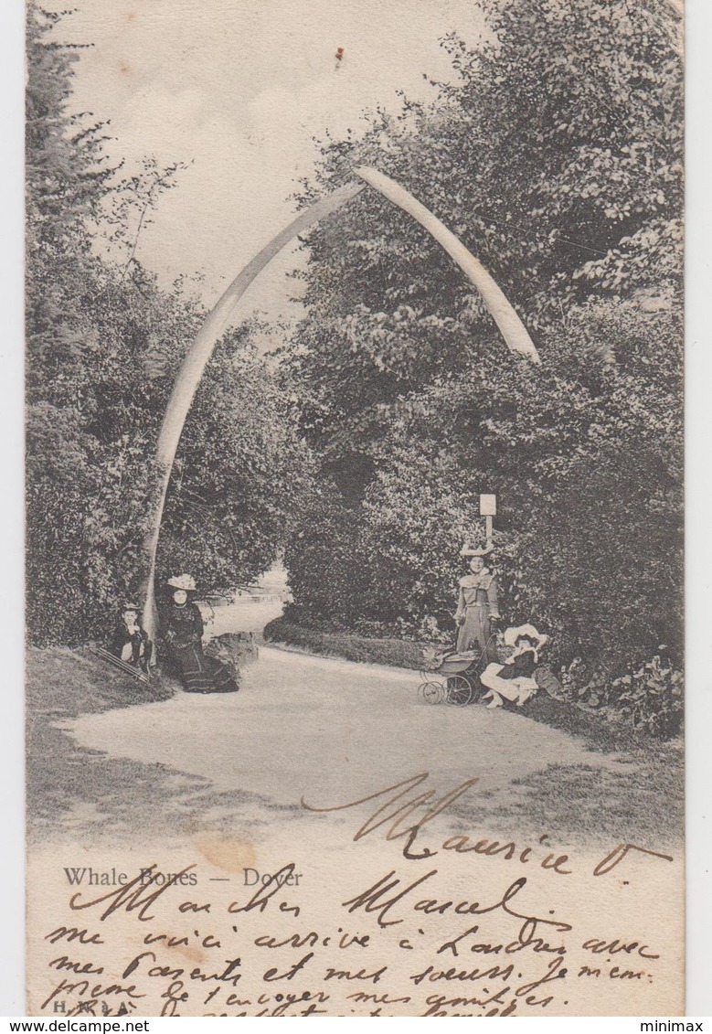 Whale Bones - Dover - 1903 - Dover