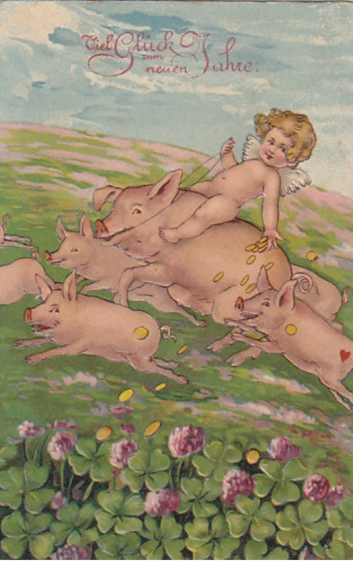 Engel Reitet Auf Schwein - Prägelitho - 1911     (P-119-120901) - Cochons