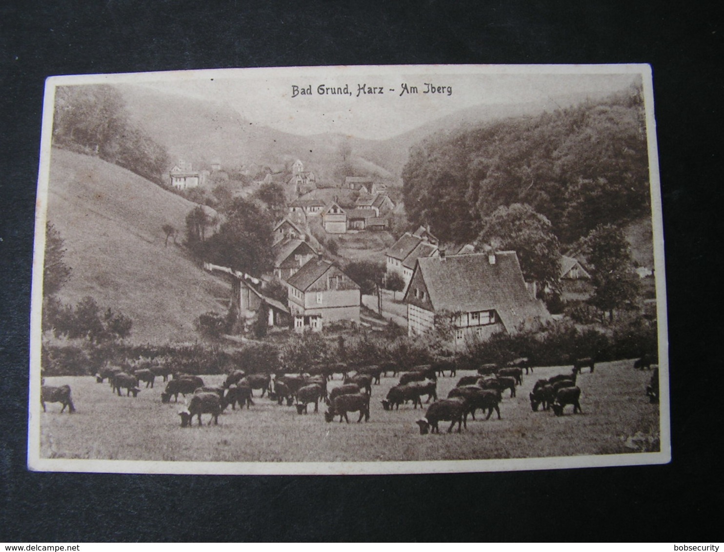 Bad Grund Harz Ca. 1920 - Bad Grund