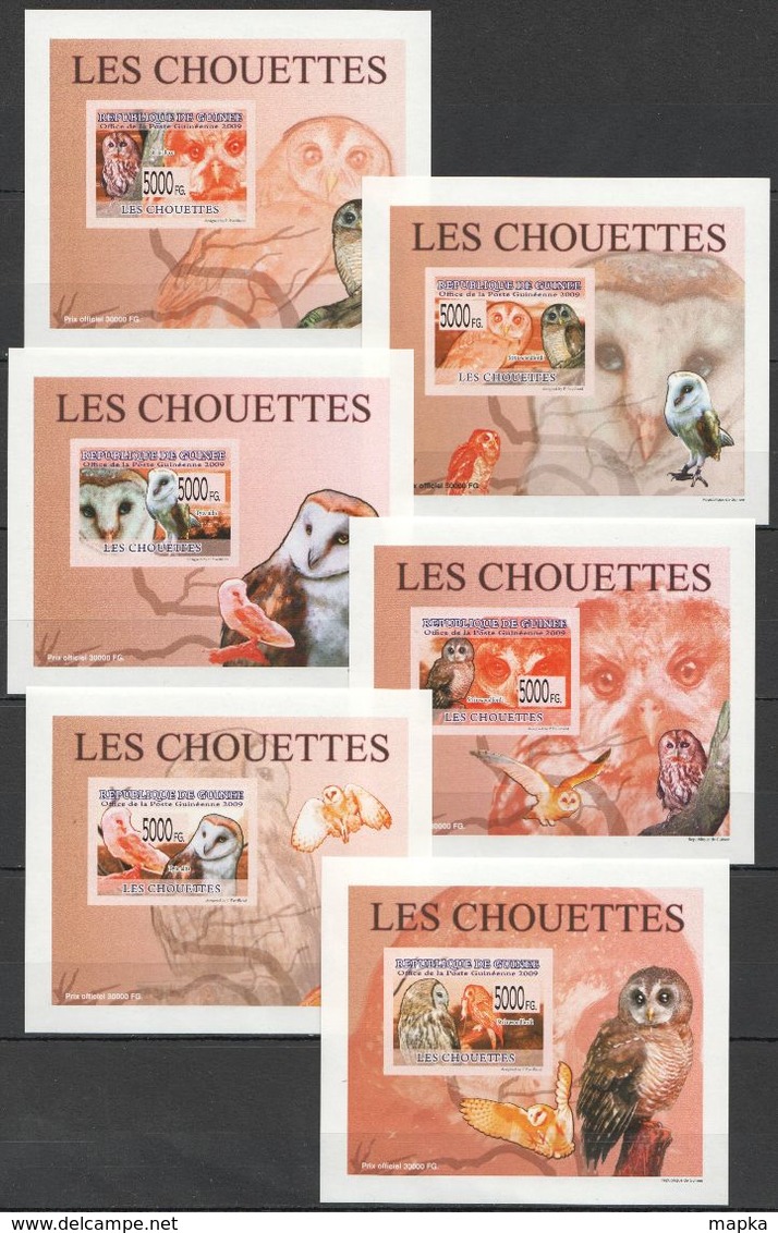 A387 !!! IMPERFORATE 2009 DE GUINEE FAUNA BIRDS OWLS LES CHOUETTES 6 LUX BL MNH - Eulenvögel