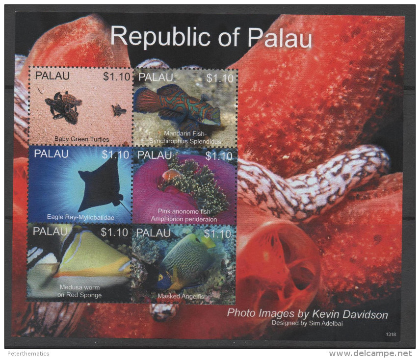 PALAU,2013,MNH, MARINE LIFE IV, FISH,RAYS, TURTLES, SUPERB PHOTOS, SHEETLET, NICE! - Poissons