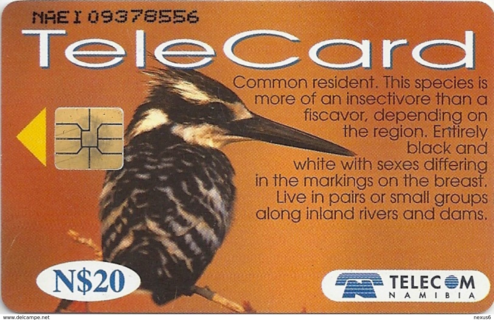 Namibia - Telecom Namibia - Pied Kingfisher Bird - 20$, 1999, Used - Namibia