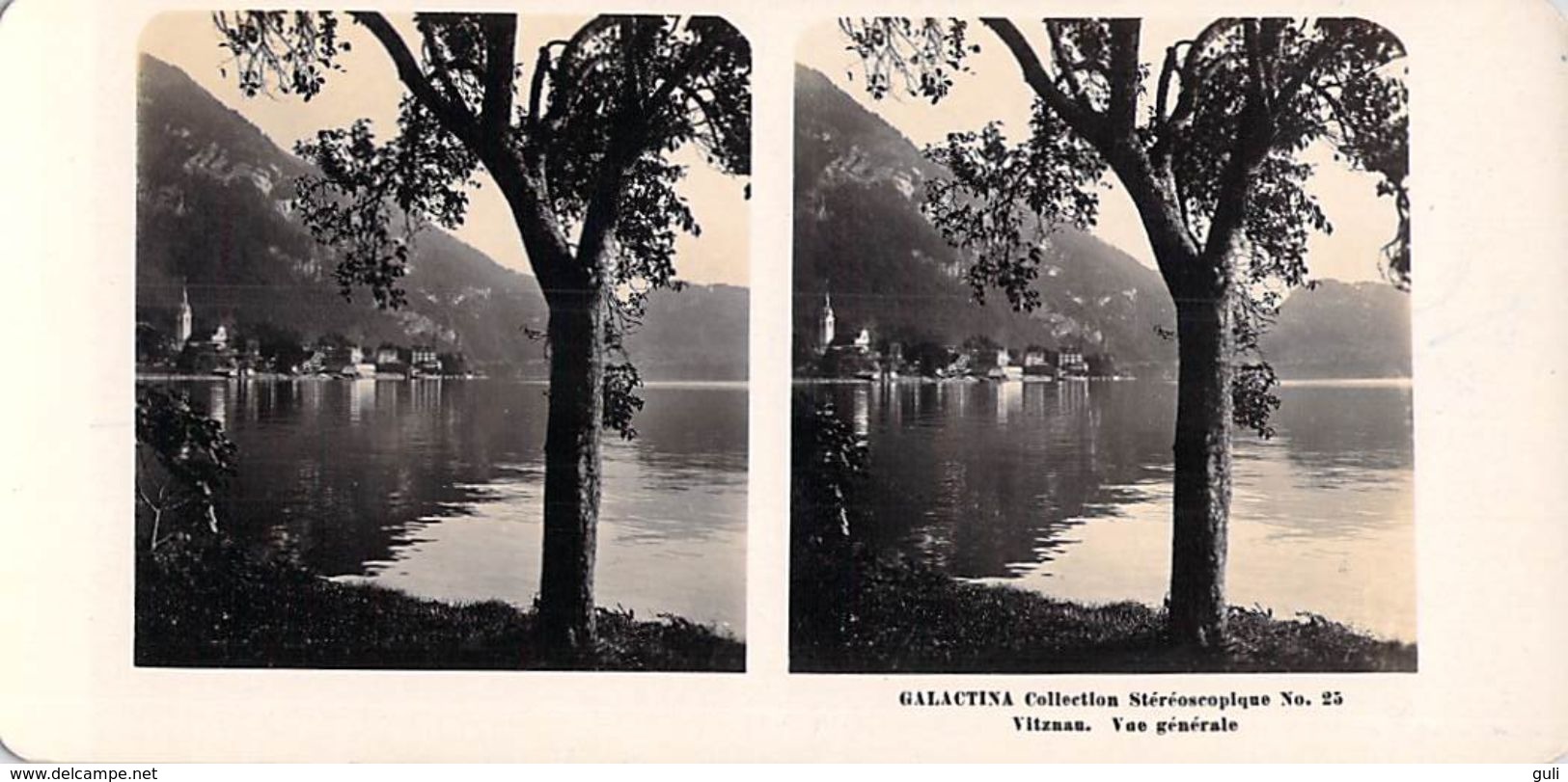 Collection Stéréoscopique GALACTINA N°25 / VITZNAU (Lucerne)  Suisse Vue Générale  -photos Stéréoscopiques NPG 1906 - Stereoscopic