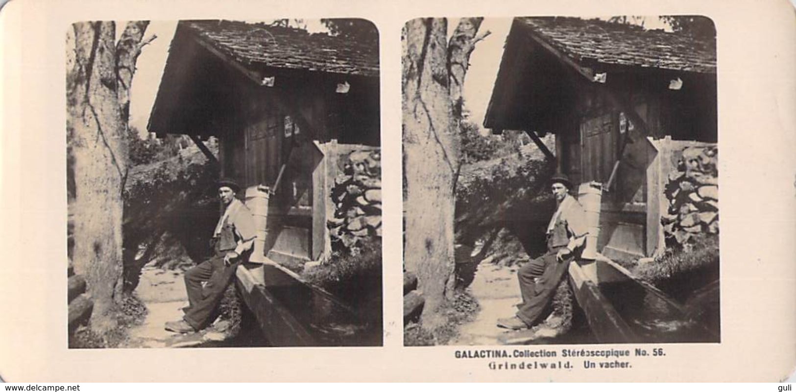 Collection Stéréoscopique LOT De 4 Photos Stéréoscopiques GALACTINA N°56-19-18-17/ GRINDELWAD  (Berne) Suisse/ NPG 1906 - Photos Stéréoscopiques