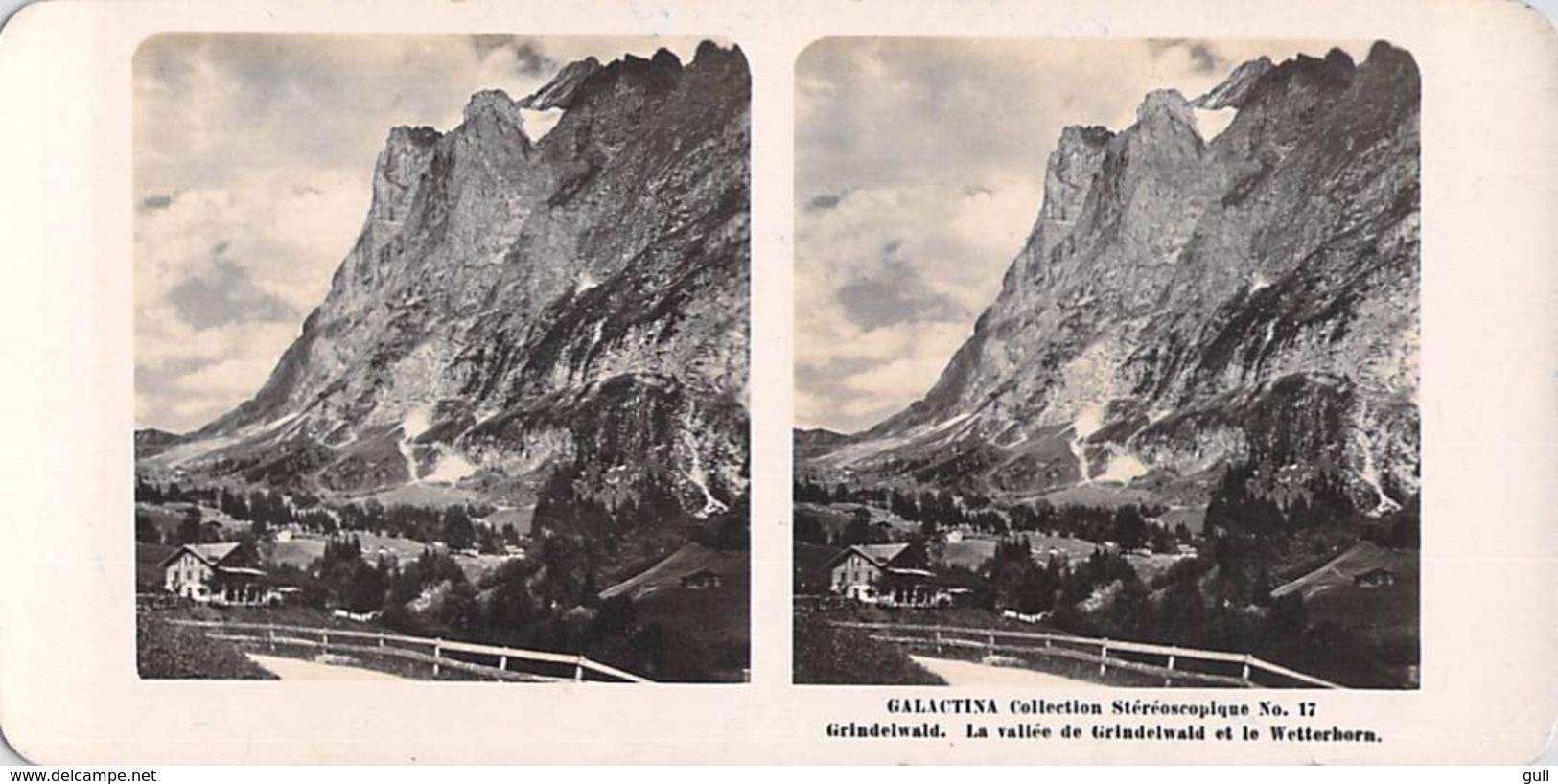 collection Stéréoscopique LOT de 4 photos stéréoscopiques GALACTINA n°56-19-18-17/ GRINDELWAD  (Berne) Suisse/ NPG 1906