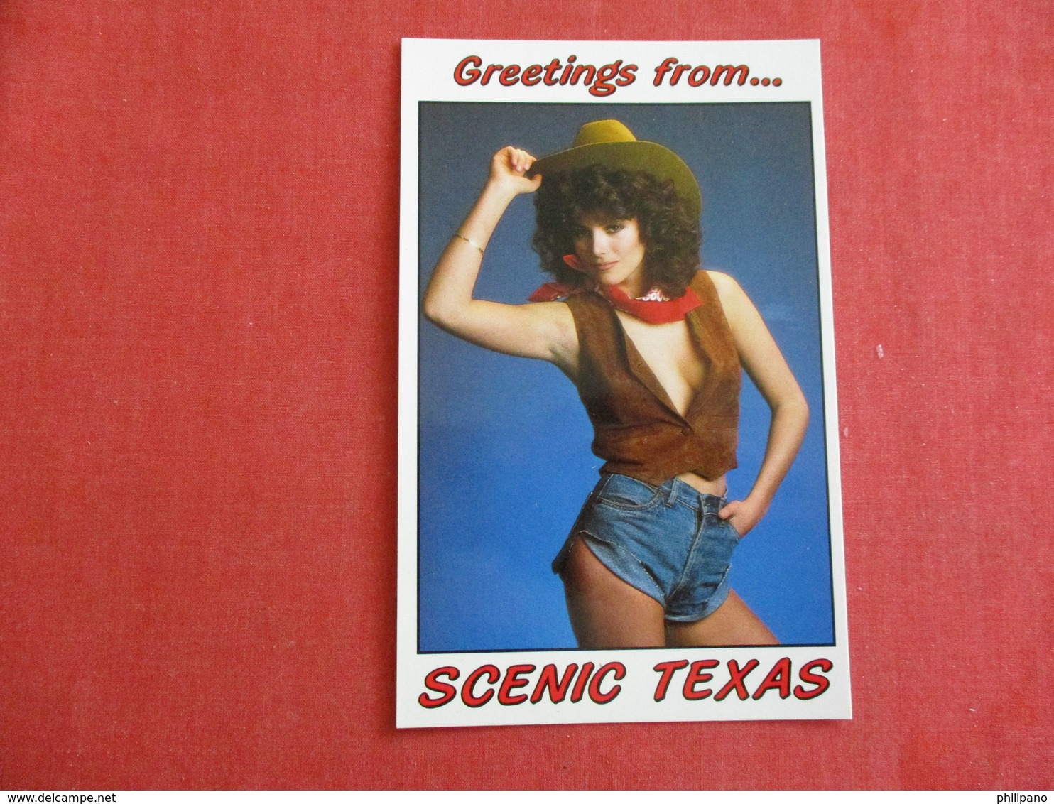 Greetings From Scenic Texas  Ref 2898 - Pin-Ups