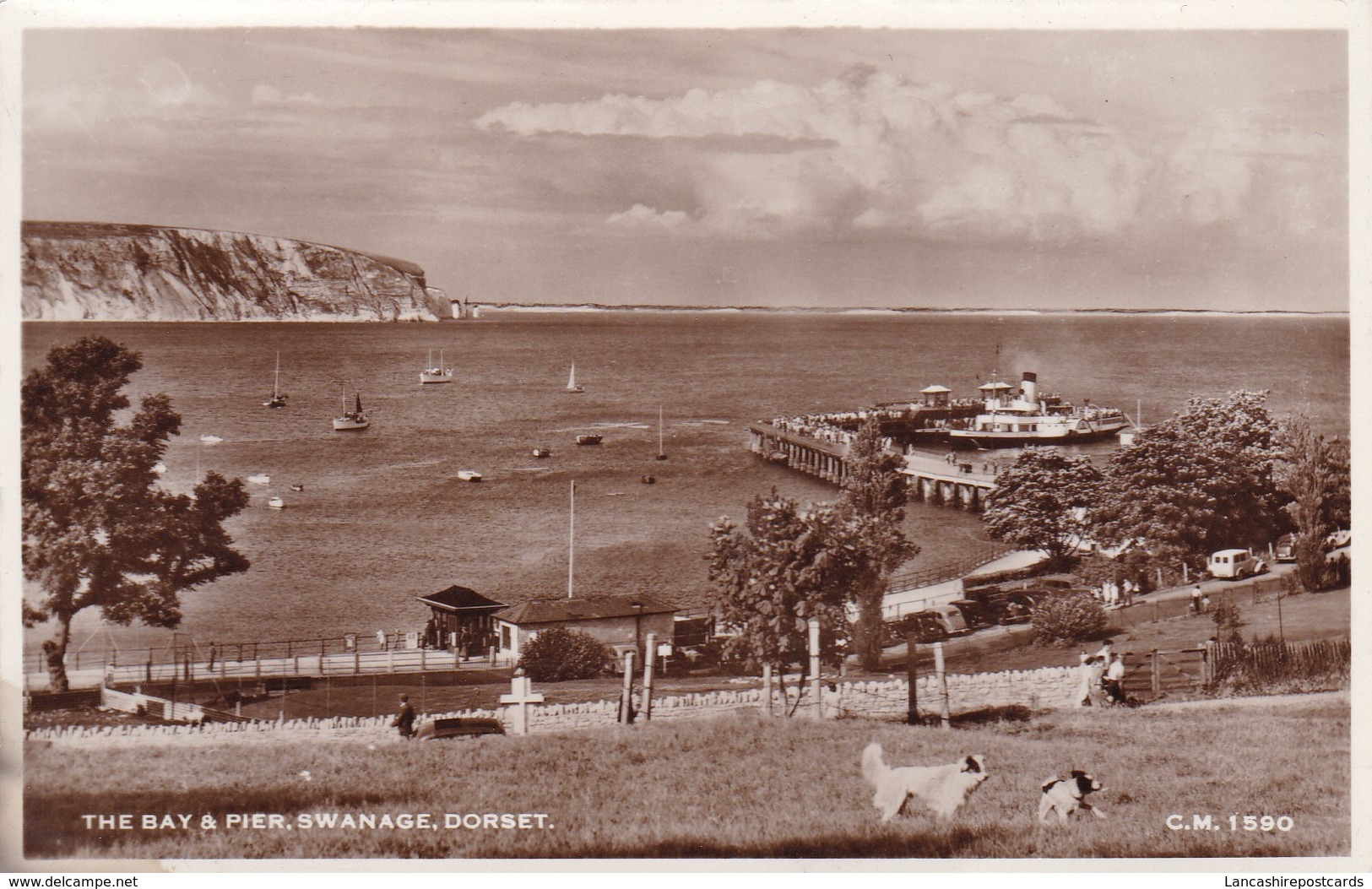 Postcard The Bay And Pier Swanage Dorset Thunder And Clayden Sunray Series RP My Ref  B12009 - Swanage