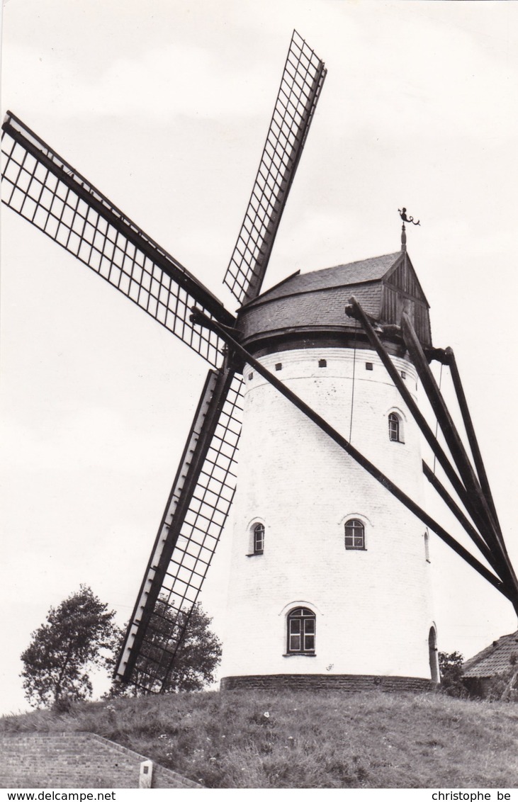 Hoeke (Damme) Molen, Moulin, Windmill (pk45119) - Damme