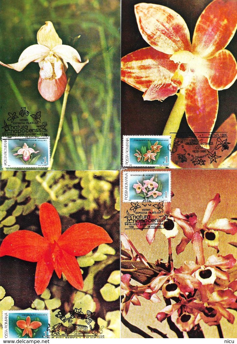 1987 - FLOWERS - ORCHIDS - 19 Maximum Cards - Tarjetas – Máxima