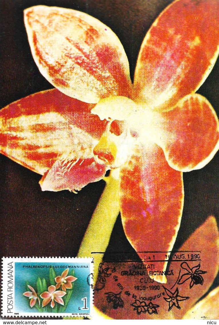 1987 - FLOWERS - ORCHIDS - 19 Maximum Cards - Tarjetas – Máxima