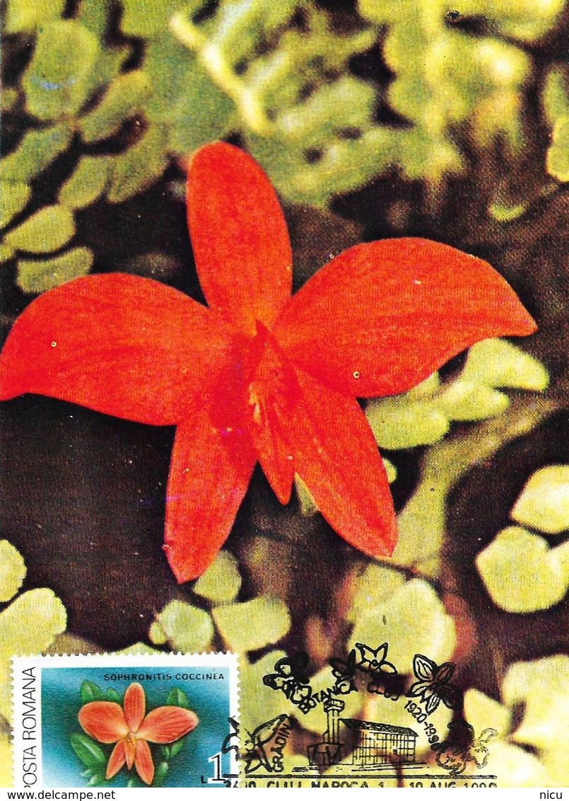 1987 - FLOWERS - ORCHIDS - 19 Maximum Cards - Tarjetas – Máxima
