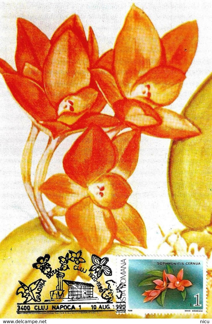 1987 - FLOWERS - ORCHIDS - 19 maximum cards